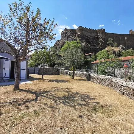 Maison Renovee Avec Grand Jardin A - Fr-1-582-351 * Polignac